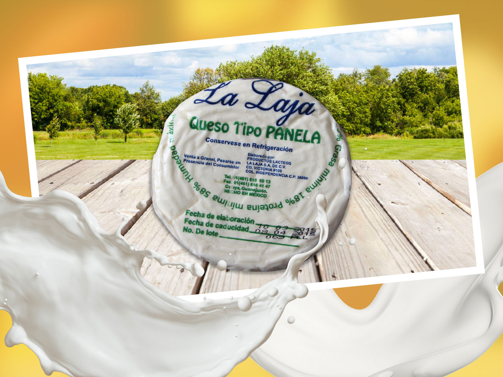 Queso Panela
